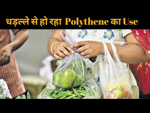 Uttar Pradesh: रोक के बाद भी धड़ल्ले से Polythene का हो रहा इस्तेमाल, बरस रही नगर निगम की कृपा Uttar Pradesh: रोक के बाद भी धड़ल्ले से Polythene का हो रहा इस्तेमाल, बरस रही नगर निगम की कृपा
