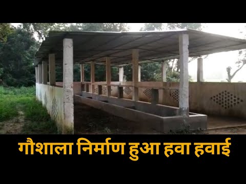गौशाला निर्माण हुआ हवा हवाई, मौके पर एक भी जानवर नहीं, जिम्मेदार काट रहे मलाई गौशाला निर्माण हुआ हवा हवाई, मौके पर एक भी जानवर नहीं, जिम्मेदार काट रहे मलाई