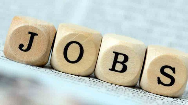 Govt Jobs: यहां निकली है 250 से ज्यादा पदों के लिए वैकेंसी, जानें क्या है जरूरी योग्यता Govt Jobs: यहां निकली है 250 से ज्यादा पदों के लिए वैकेंसी, जानें क्या है जरूरी योग्यता