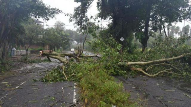 Weather Alert: UP के इन जिलों में आज तेज बारिश और बिजली गिरने की संभावना, अब तक 28 लोगों की मौत