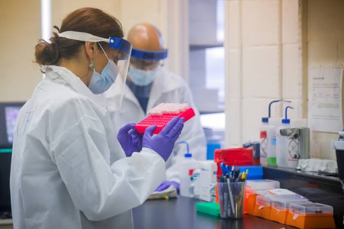 New Strain Of Coronavirus: WHO का बड़ा बयान, 8 यूरोपीय देशों में मिला कोरोनावायरस का नया स्ट्रैन