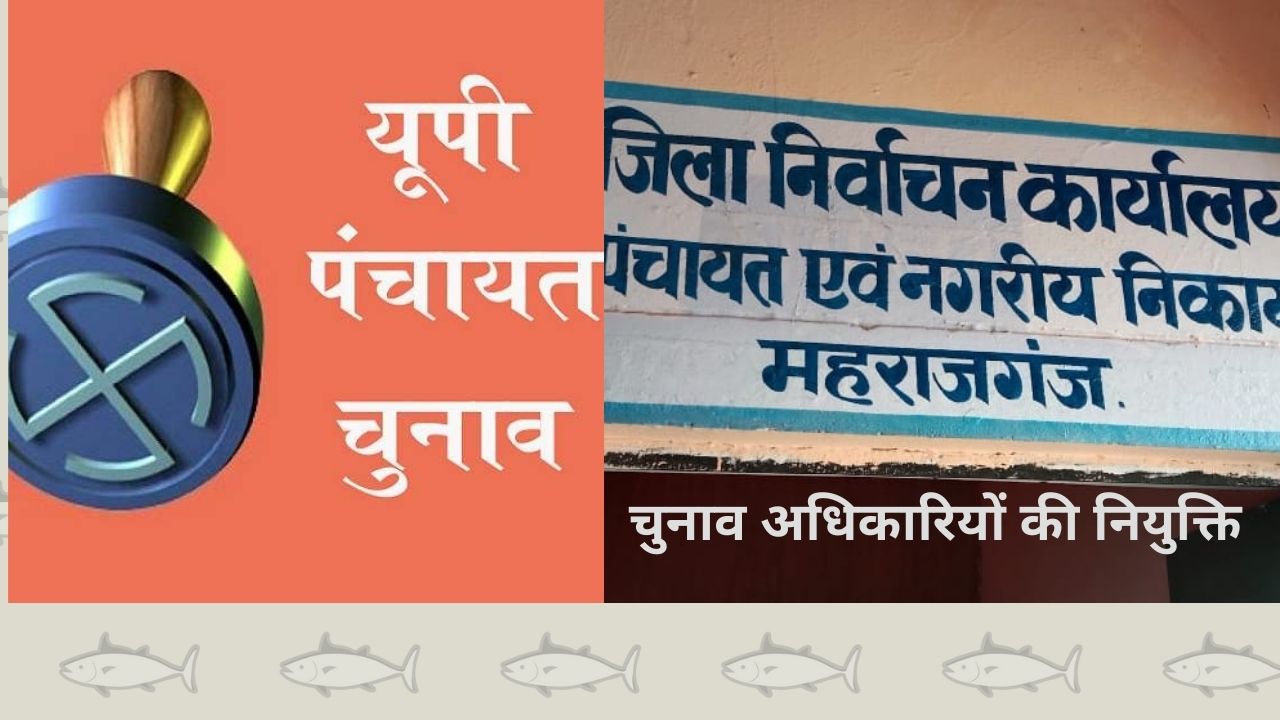 महराजगंज: त्रिस्तरीय पंचायत चुनाव के लिये जोनल, सेक्टर और रिटर्निंग अफसरों की नियुक्ति, देखिये पूरी सूची