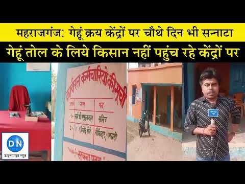 DN Exclusive: महराजगंज में गेहूं क्रय केंद्रों पर अब भी सन्नाटा, जानिये तोल के लिये आखिर क्यों नहीं आ रहे किसान, क्या बोले अधिकारी?