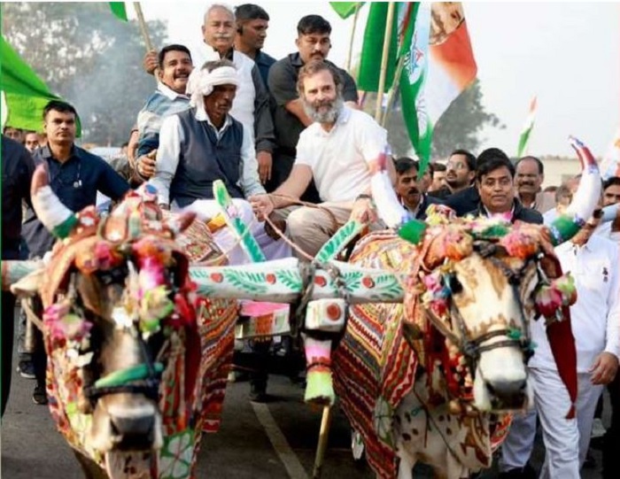 Bharat Jodo Yatra: राहुल गांधी की भारत जोड़ो यात्रा पहुंची सवाई माधोपुर जिले में, जानिये ये अपडेट