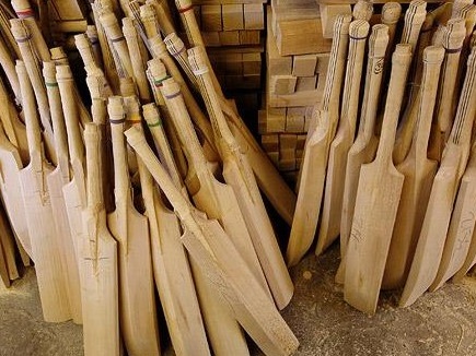 Lack of Wood in Kashmir: कश्मीर में लकड़ी की कमी, क्रिकेट बैट उद्योग बंद होने के कगार पर