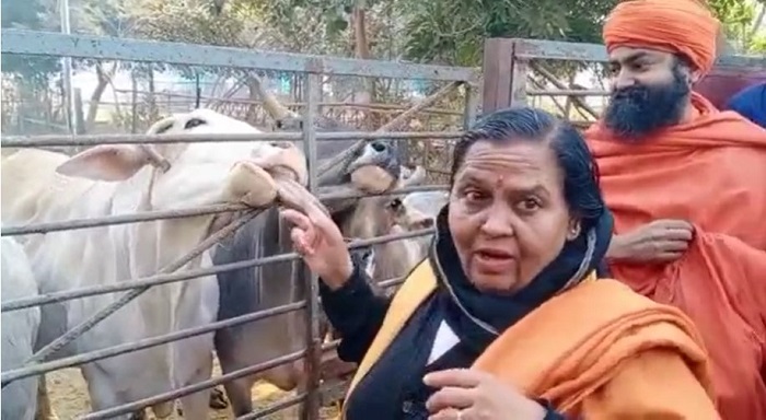 मधुशाला में बने गोशाला उमा भारती लगाएंगी गौ अदालत, गौरक्षा की करेंगी अपील