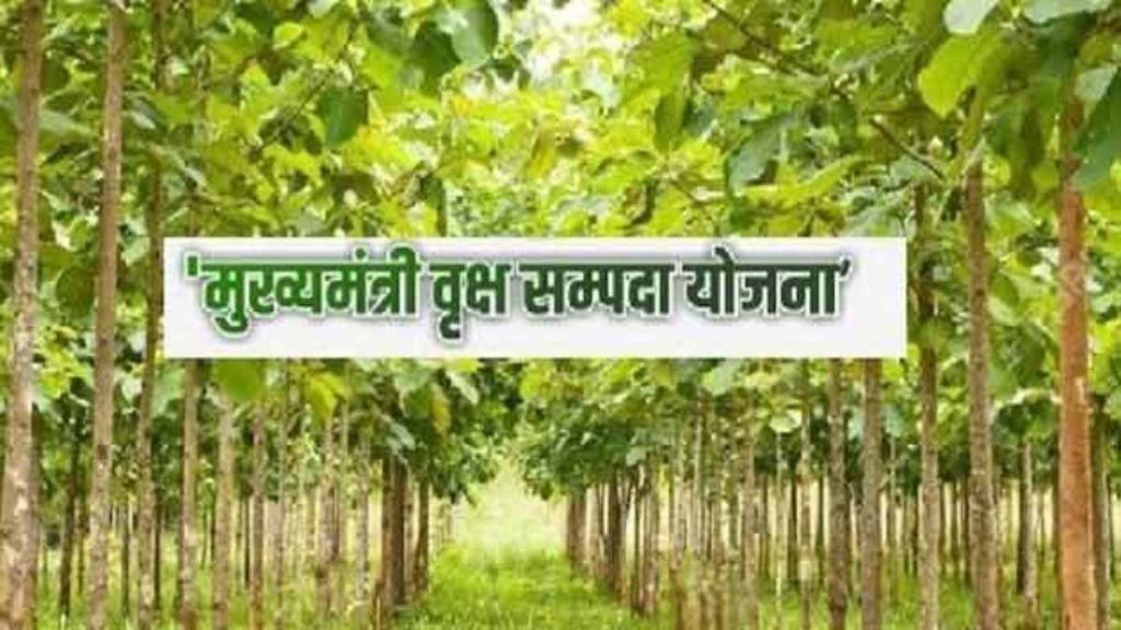 छत्तीसगढ़ में मुख्यमंत्री वृक्ष संपदा योजना शुरू