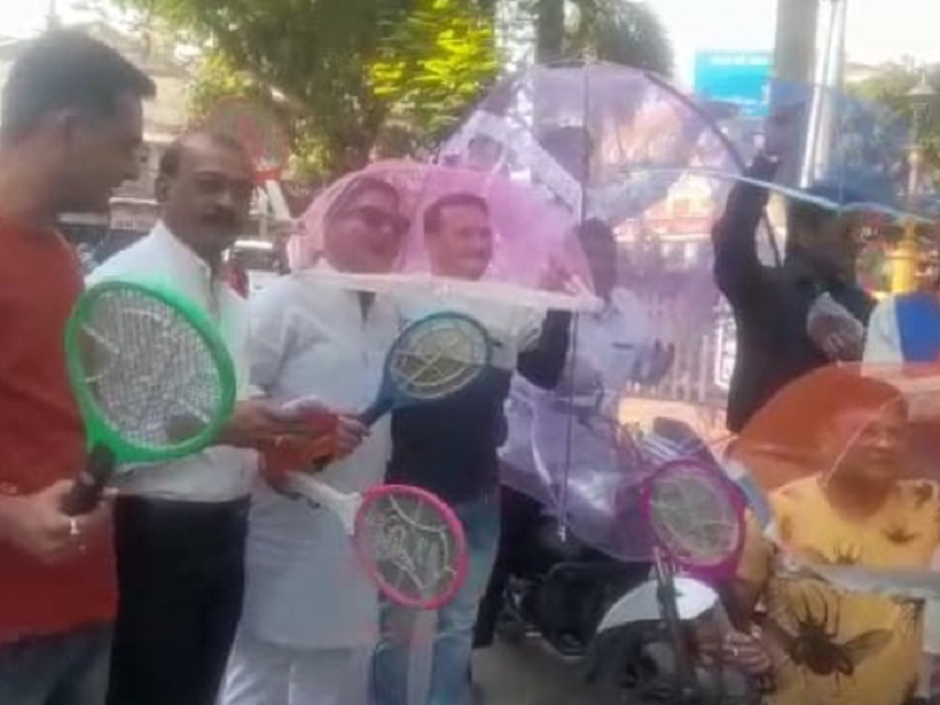 कांग्रेसी कार्यकर्ताओं ने किया अनूठा विरोध प्रदर्शन, मच्छरदानी में हुए बंद, जानिये पूरा मामला कांग्रेसी कार्यकर्ताओं ने किया अनूठा विरोध प्रदर्शन, मच्छरदानी में हुए बंद, जानिये पूरा मामला