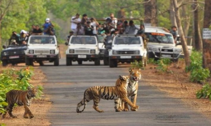 Heat Waves: गर्मी के तीखे तेवर, चढ़ते पारे के बीच बदला गया इन चीजों का समय, जानिये ये बड़े अपडेट Heat Waves: गर्मी के तीखे तेवर, चढ़ते पारे के बीच बदला गया इन चीजों का समय, जानिये ये बड़े अपडेट