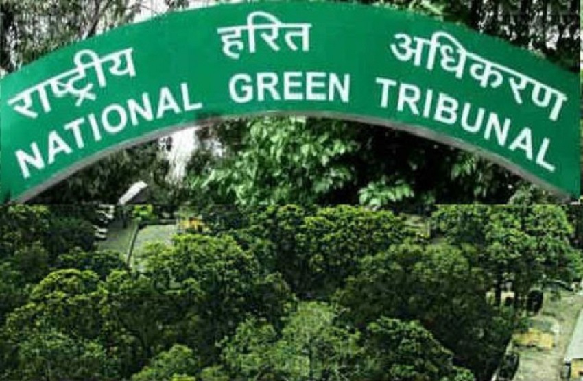 जस्टिस एस के सिंह को एनजीटी का कार्यवाहक अध्यक्ष नियुक्त किया गया, जानिये उनके बारे में