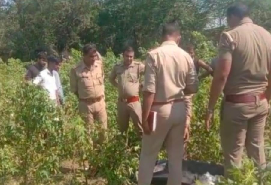 यूपी के मथुरा में सनसनीखेज वारदात, बुलावे पर पहुंचे युवक को प्रेमिका के परिजनों ने पेड़ से बांधा, पीट-पीटकर हत्या