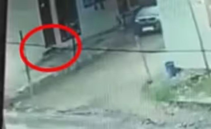 Himachal Pradesh: हमीरपुर में दिनदहाड़े तेंदुआ दिखने से इलाके में मची दहशत, CCTV फुटेज सामने आने के बाद घरों में कैद हुए लोग Himachal Pradesh: हमीरपुर में दिनदहाड़े तेंदुआ दिखने से इलाके में मची दहशत, CCTV फुटेज सामने आने के बाद घरों में कैद हुए लोग