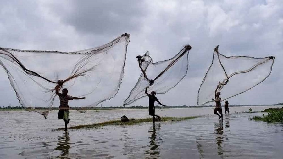 पश्चिम बंगाल: मत्स्य पालन, डेयरी क्षेत्र में अवसरों पर चर्चा के लिए कार्यशाला आयोजित