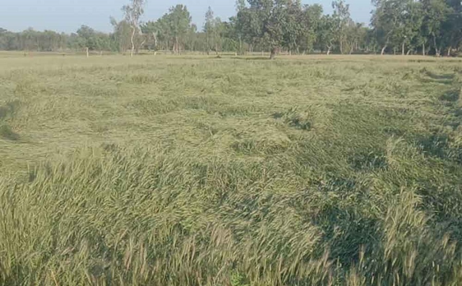 यूपी के किसानों के लिए बड़ी खुशखबरी, फसलों के नुकसान पर सरकार ने की ये घोषणा
