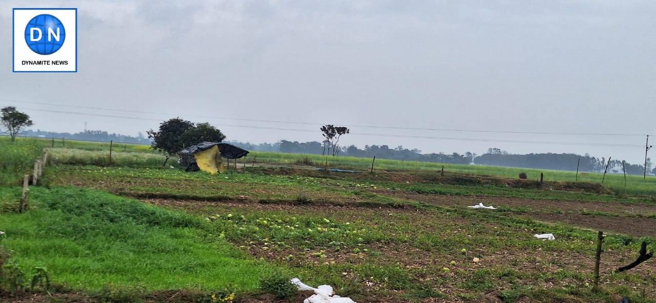 Uttar Pradesh: मौसम ने बदला मिजाज, बेमौसमी बारिश ने बढ़ाई किसानों की टेंशन