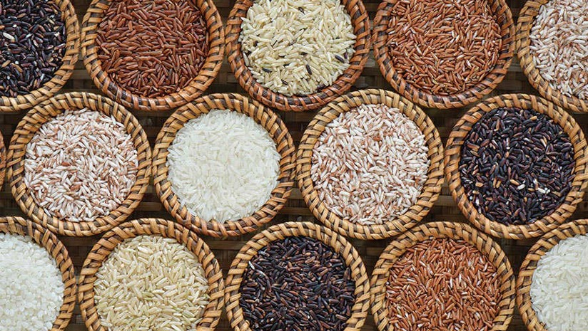 Basmati Rice Variety :इतने प्रकार के होते हैं बासमती चावल, कौन सा है दुनिया का सबसे लंबा बासमती चावल