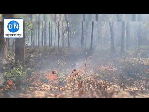सलामतगढ़ चेतरा नर्सरी जंगल में लगी भीषण आग, आबादी के करीब पहुंची आग की लपटें, नहीं पहुंचे जिम्मेदार, दहशत में लोग