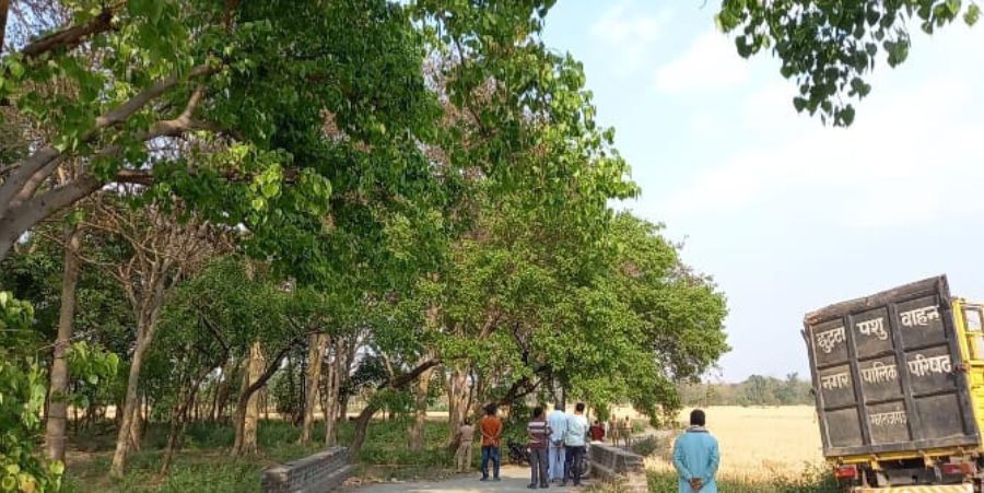 बैरंग लौटी वन विभाग की टीम, खूंखार गौर का नहीं हो पाया रेस्क्यू बैरंग लौटी वन विभाग की टीम, खूंखार गौर का नहीं हो पाया रेस्क्यू