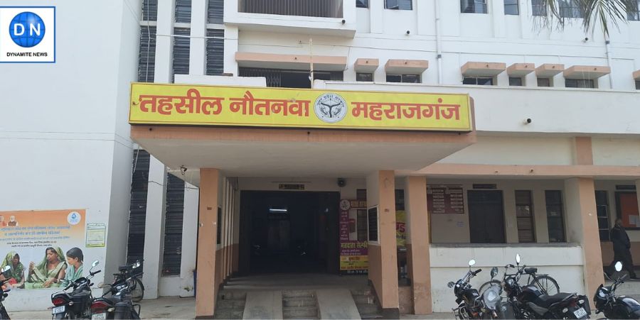 मुकदमे की पैरवी से वापस लौटने के बाद दोनों पक्षों में जमकर मारपीट, कई घायल, जानिए ये पूरा मामला मुकदमे की पैरवी से वापस लौटने के बाद दोनों पक्षों में जमकर मारपीट, कई घायल, जानिए ये पूरा मामला