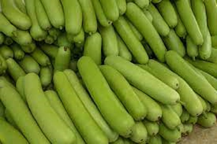 Bottle gourd side effect: जानिये लौकी के खाने के फायदे और नुकसान
