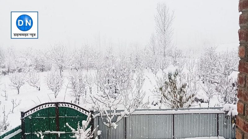 Kashmir Snowfall: कश्मीर ने ओढ़ी सफेद चादर, देखिये बर्फवारी के खूबसूरत नज़ारे