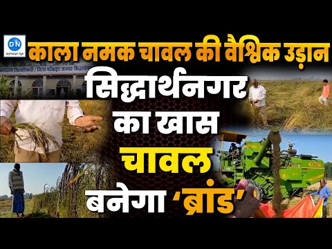 Kalanamak Rice: सिद्धार्थनगर का काला नमक चावल अब पहुंचेगा देश-विदेश, किसानों को मिलेगा लाभ