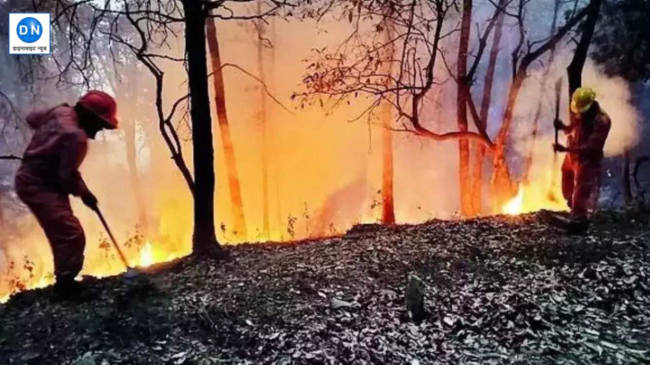 Pithoragarh News: पिथौरागढ़ में वनाग्नि रोकथाम को लेकर अहम बैठक, इन मुद्दों पर हुई बातचीत Pithoragarh News: पिथौरागढ़ में वनाग्नि रोकथाम को लेकर अहम बैठक, इन मुद्दों पर हुई बातचीत