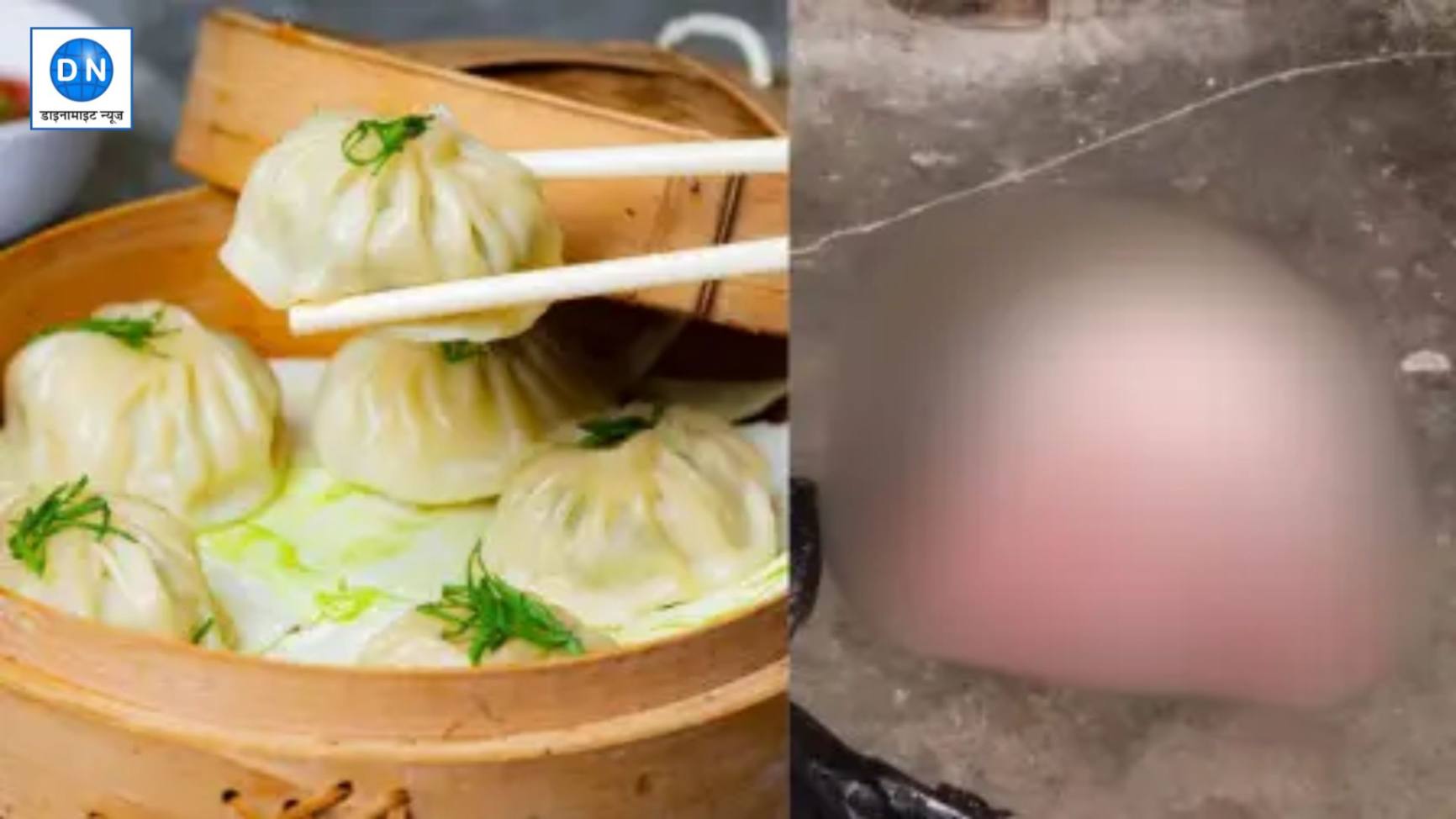 Momo Factory: मोमोज खाने वालों के पैर के नीच से खिसक जाएगी जमीन, देखिए फैक्ट्री में मिला कुत्ते का…