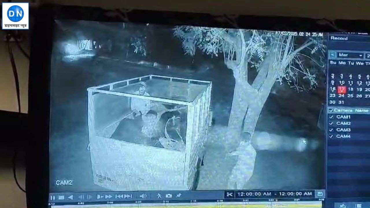 UP News: जौनपुर में पशु तस्करों ने चुराई भैंस, CCTV फुटेज में कैद हुई पूरी वारदात