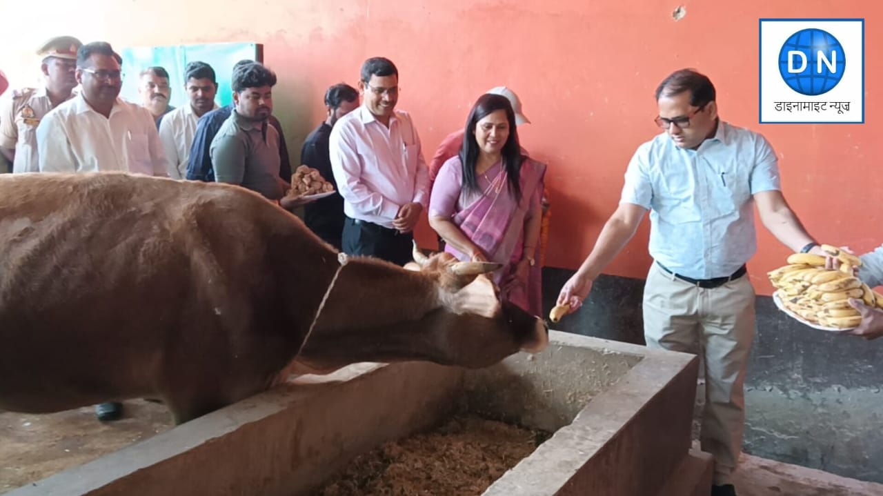 चिउरहा गौशाला का निरीक्षण, नगर विकास सचिव ने इस केंद्र का भी लिया जायजा, जानिये पूरा अपडेट चिउरहा गौशाला का निरीक्षण, नगर विकास सचिव ने इस केंद्र का भी लिया जायजा, जानिये पूरा अपडेट