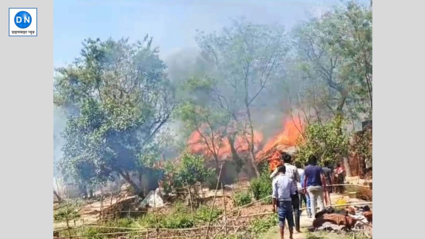 Sonbhadra News: जंगल में लगी भीषण आग, लपटों से झुलसे ग्रामीण, देखिए दर्दनाक वीडियो