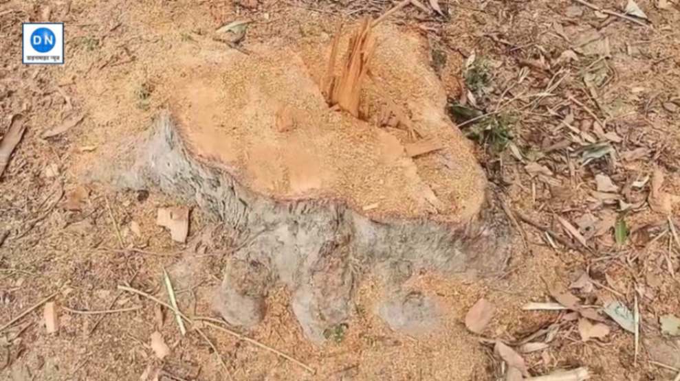 रायबरेली में प्रकृति के साथ बड़ा खिलवाड़, किया जा रहा ऐसा काम रायबरेली में प्रकृति के साथ बड़ा खिलवाड़, किया जा रहा ऐसा काम