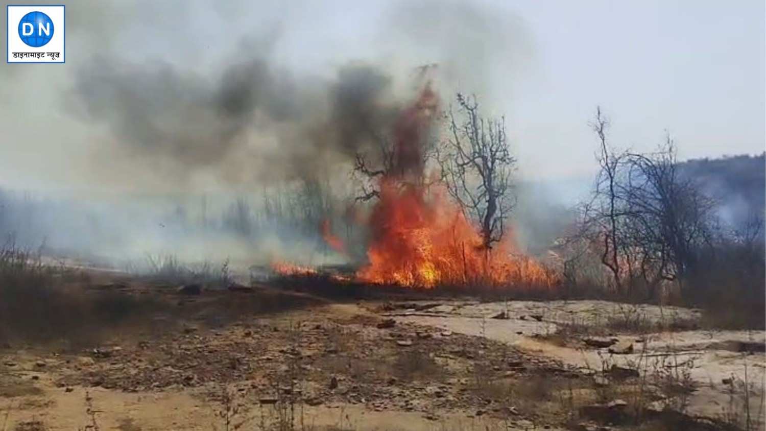 UP News: सोनभद्र में ब्लैक बक जंगल में भीषण आग, दो दिनों की मशक्कत के बाद पाया गया काबू