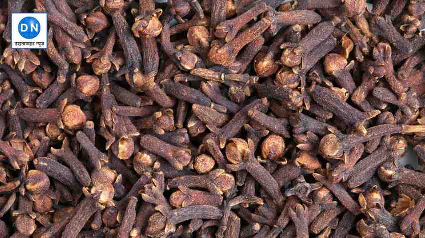 Clove Benefits: एक मसाला, अनगिनत फायदे, जानिए सेहत से लेकर स्वाद तक की है खासियत
