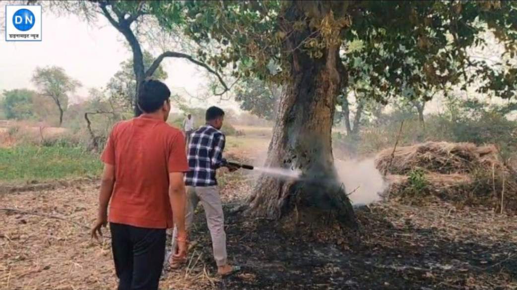 रायबरेली में किसान की लापरवाही से टला बड़ा हादसा, दमकल ने बचाई सैकड़ों बीघा फसल