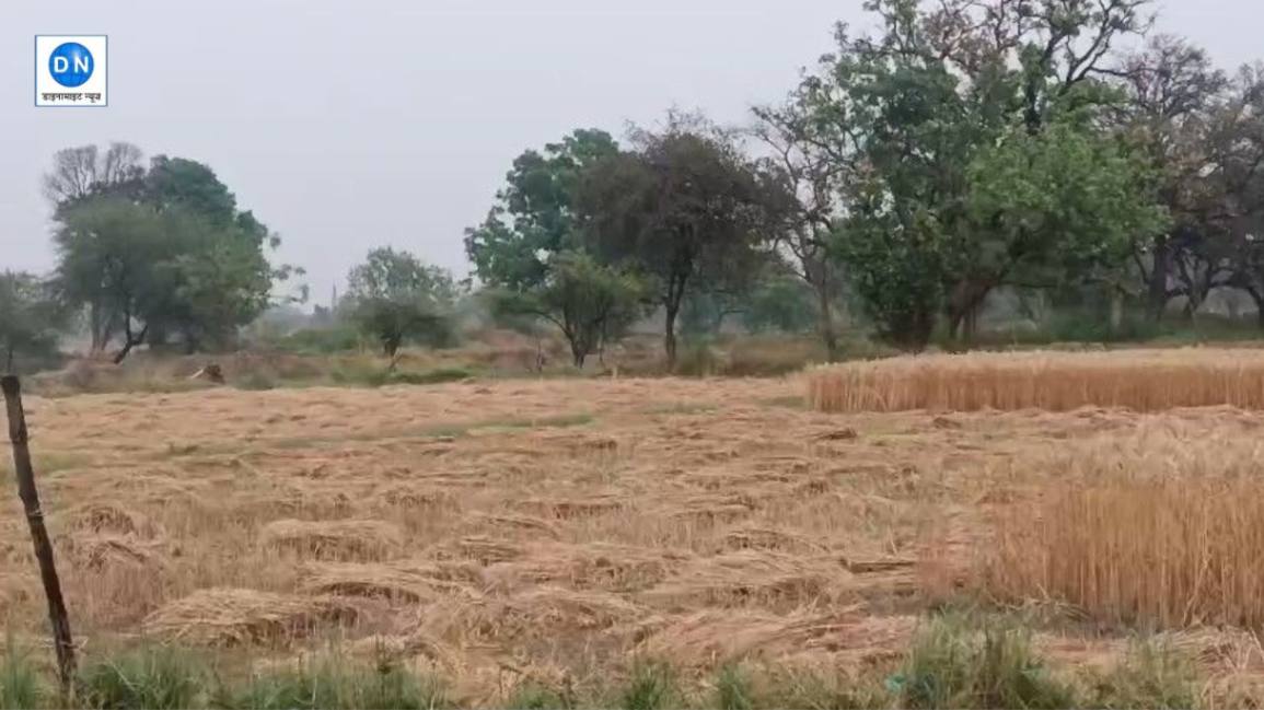 Raebareli News: रायबरेली में मौसम ने ढाया कहर! कई इलाकों में बिजली गुल; जानें कैसा रहेगा मौसम का हाल? Raebareli News: रायबरेली में मौसम ने ढाया कहर! कई इलाकों में बिजली गुल; जानें कैसा रहेगा मौसम का हाल?