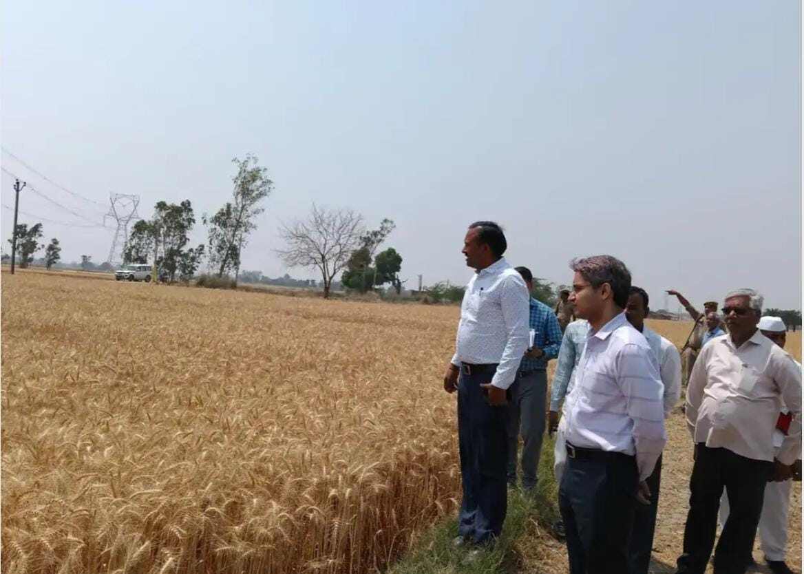 फतेहपुर डीएम ने किया गेहूं क्रॉप कटिंग का निरीक्षण, विकास कार्यों की भी समीक्षा