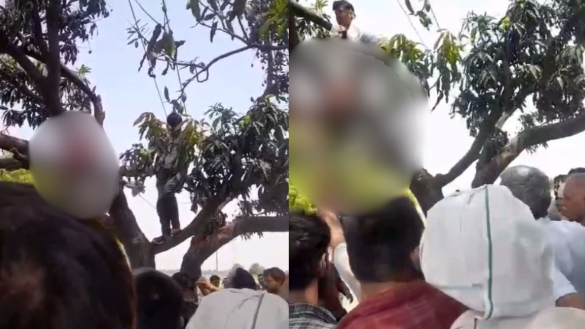 Crime In Bulandsahar: बिजली विभाग की बड़ी लापरवाही, मासूम की मौत; जानिये पूरा मामला?