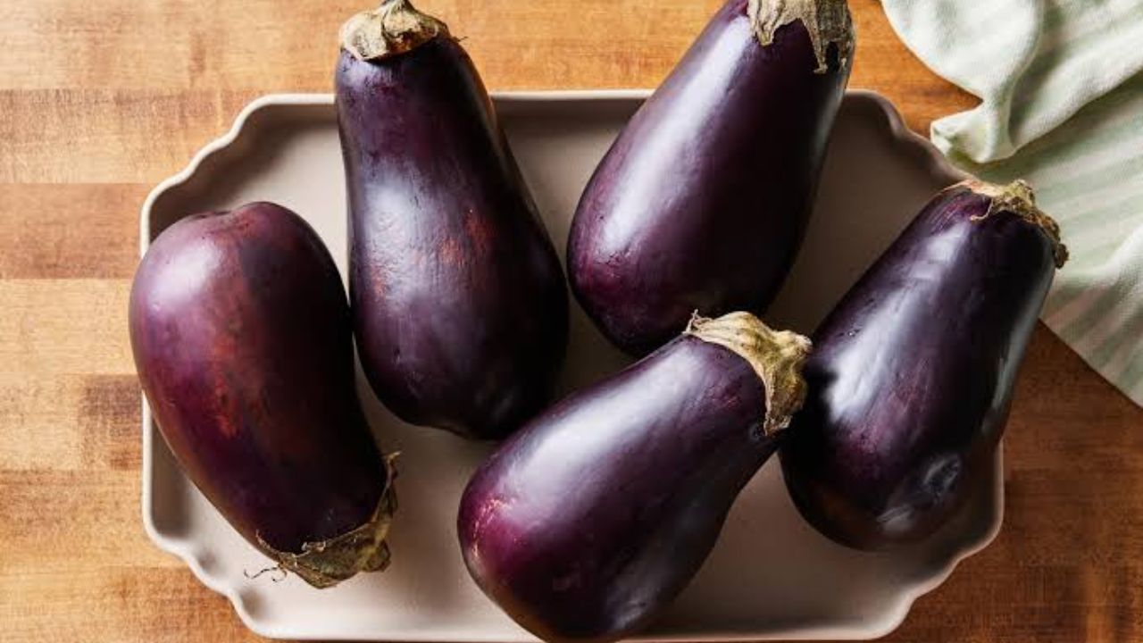 Lifestyle News: बिना काटे कम बीज वाले बैंगन की करना चाहते हैं पहचान, तो इन 3 बातों का रखें खास ध्यान Lifestyle News: बिना काटे कम बीज वाले बैंगन की करना चाहते हैं पहचान, तो इन 3 बातों का रखें खास ध्यान