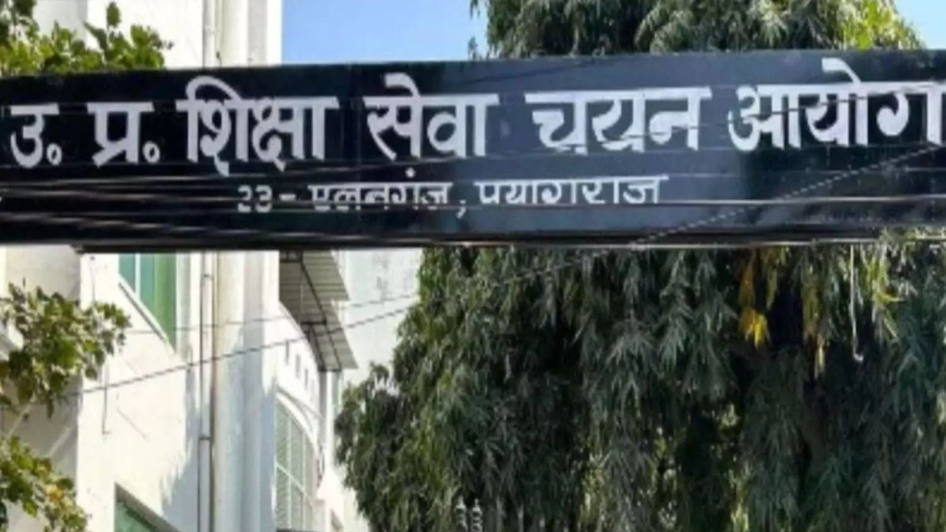 UP Assistant Professor Recruitment: यूपी में असिस्टेंट प्रोफेसर बीएड के पदों पर भर्ती, जल्द करें अप्लाई UP Assistant Professor Recruitment: यूपी में असिस्टेंट प्रोफेसर बीएड के पदों पर भर्ती, जल्द करें अप्लाई