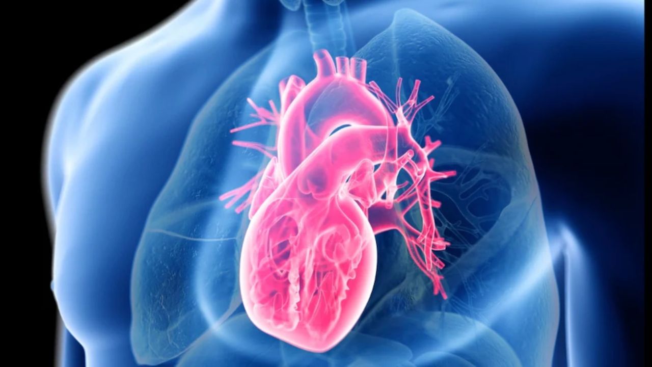 Risk of heart diseases (Source-Internet)