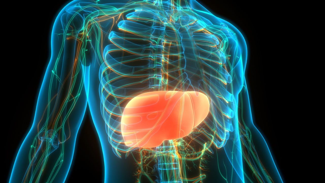 Liver (Source-Internet)