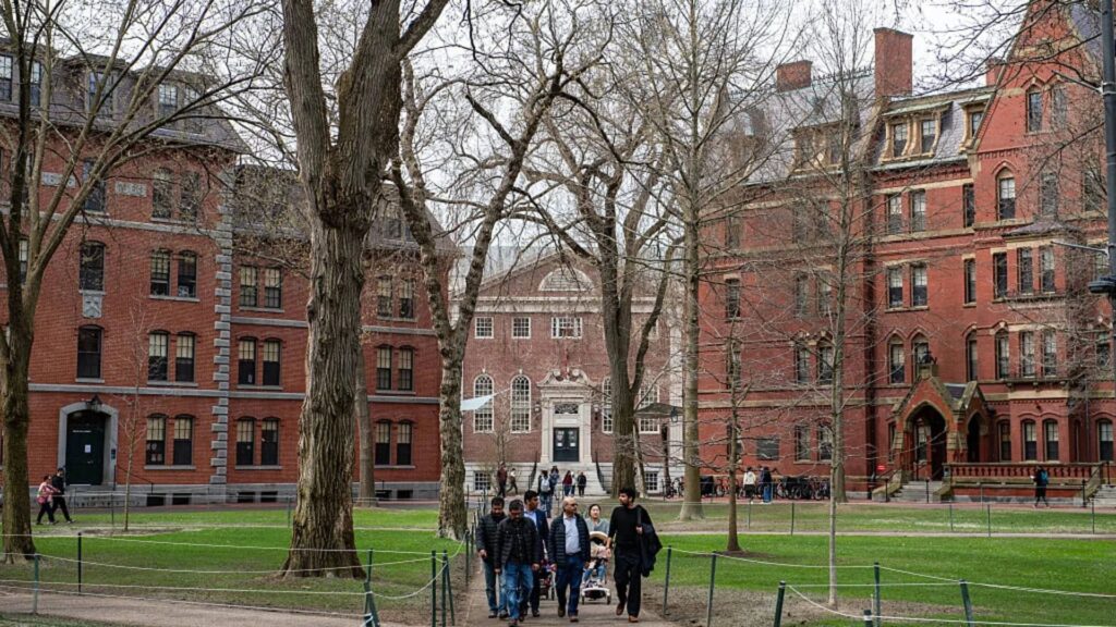 What is Harvard University
