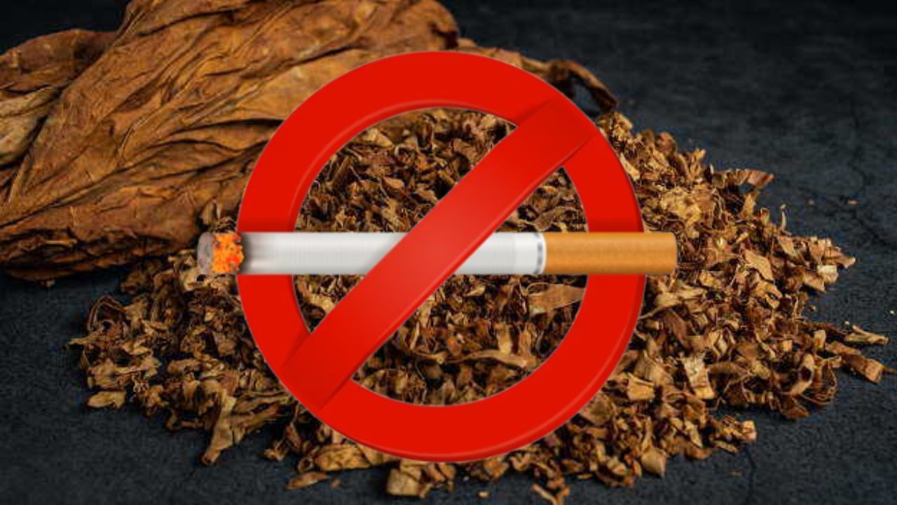 World No Tobacco Day 2025: तंबाकू के खिलाफ जागरूकता का वैश्विक अभियान, जानें क्या है इस साल की थीम