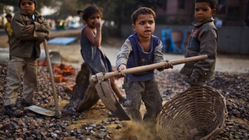 Child Labour Day