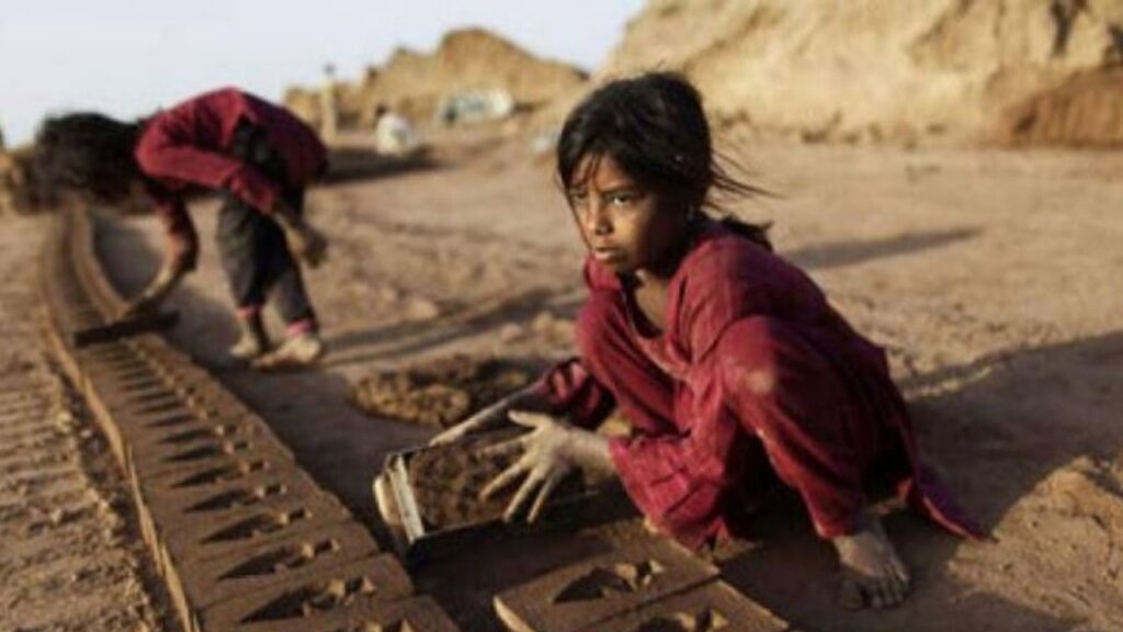 Child Labour Day