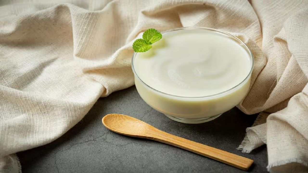 Adulteration Curd: मिलावटी दही बना सेहत के लिए बड़ा खतरा! कैसे करें असली और नकली की पहचान Adulteration Curd: मिलावटी दही बना सेहत के लिए बड़ा खतरा! कैसे करें असली और नकली की पहचान