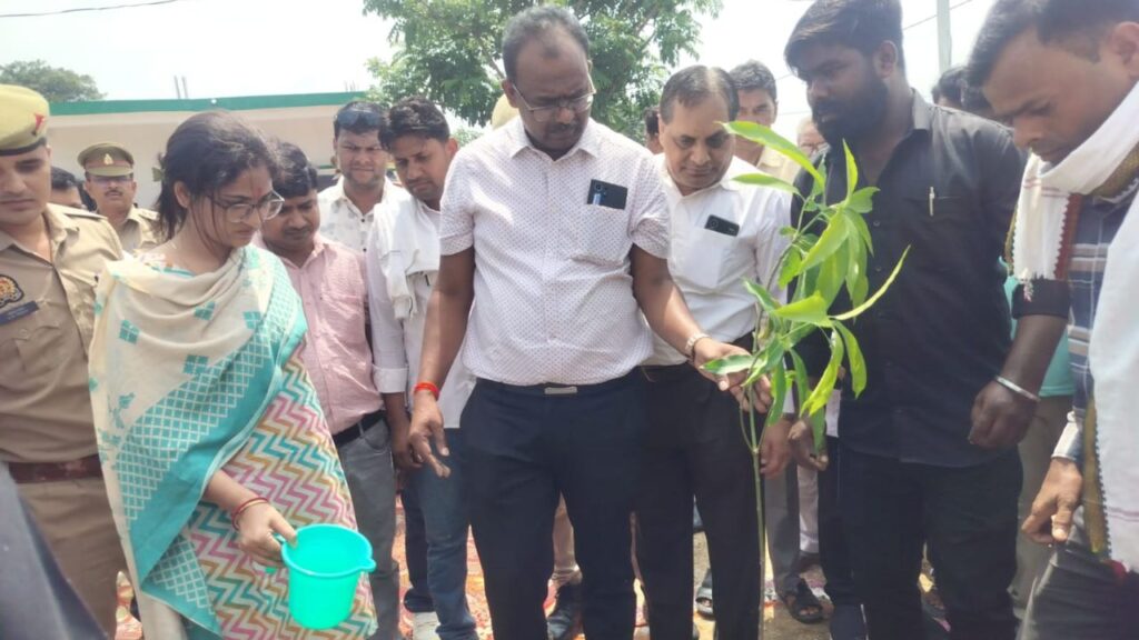 DM planted trees