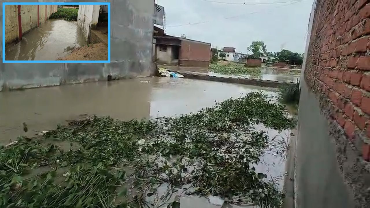 पहली बारिश में ही भ्रष्टाचार की भेंट चढ़ी मंडी की बाउंड्री वॉल, भरभरा कर गिरी, मौके पर पहुंचे कई अफसर