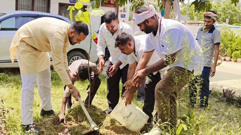 Organizing a tree planting program
